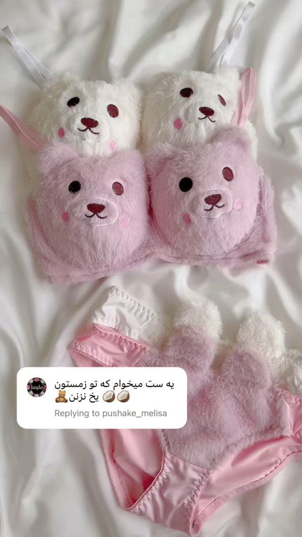 Adorable Fuzzy Bear Lingerie Set